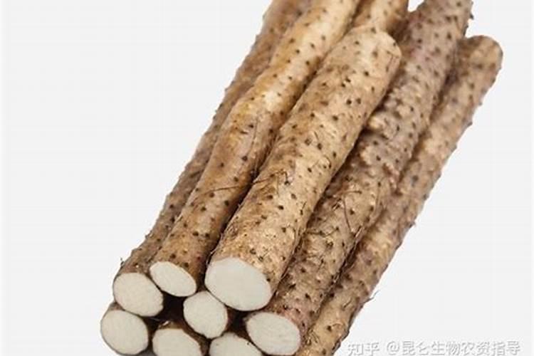 春天种植山药生根产品用哪个？