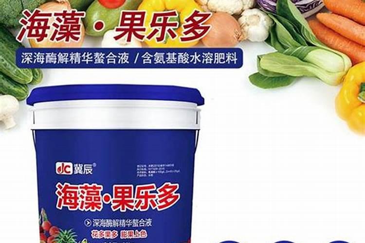 夏威夷竹子太高怎么办