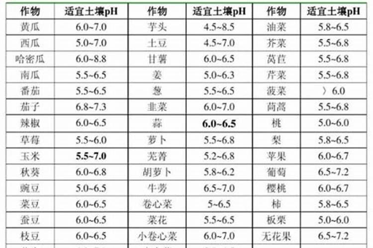 在养花时如何使用磷肥
