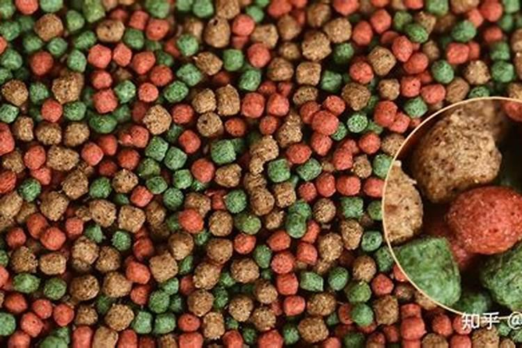 鱼蛋白自制配方比例