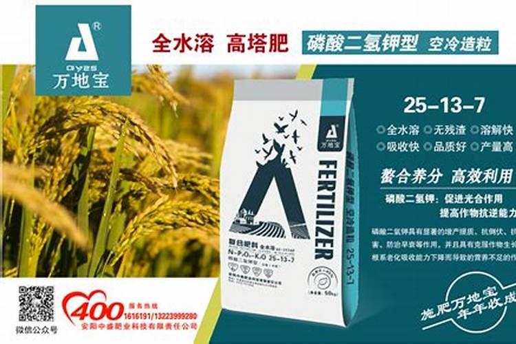 种玉米用什么化肥好