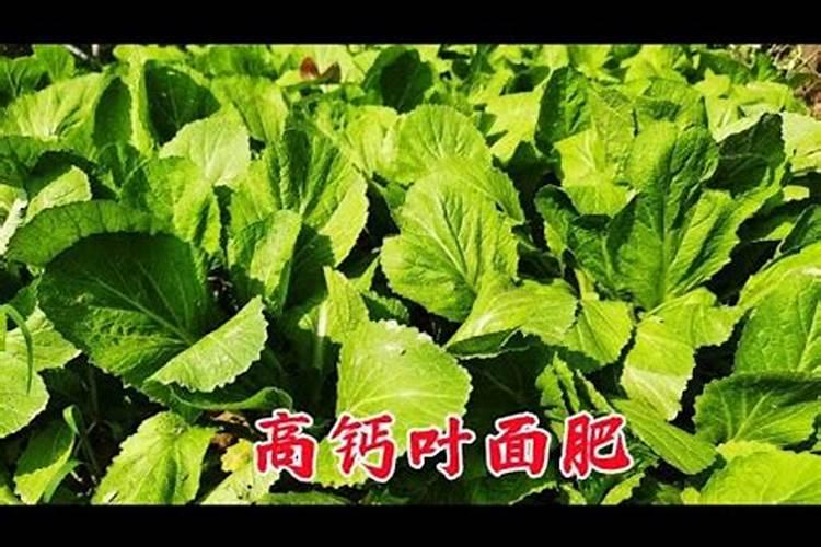 富岛复合价格查询