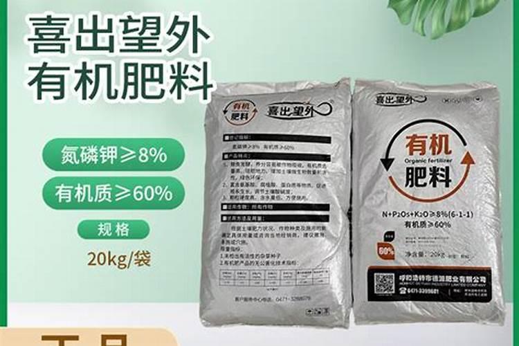 小辣椒在春天种植到结果要多长时间？