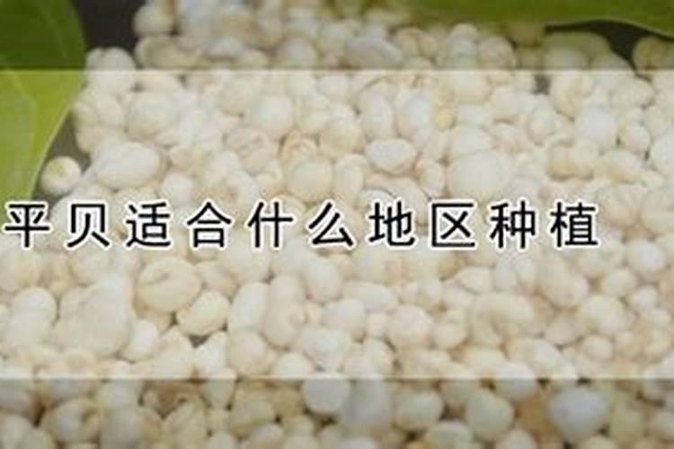 2020年以后农村有哪些行业可以年收入20万？(2020年农村干什么挣钱...