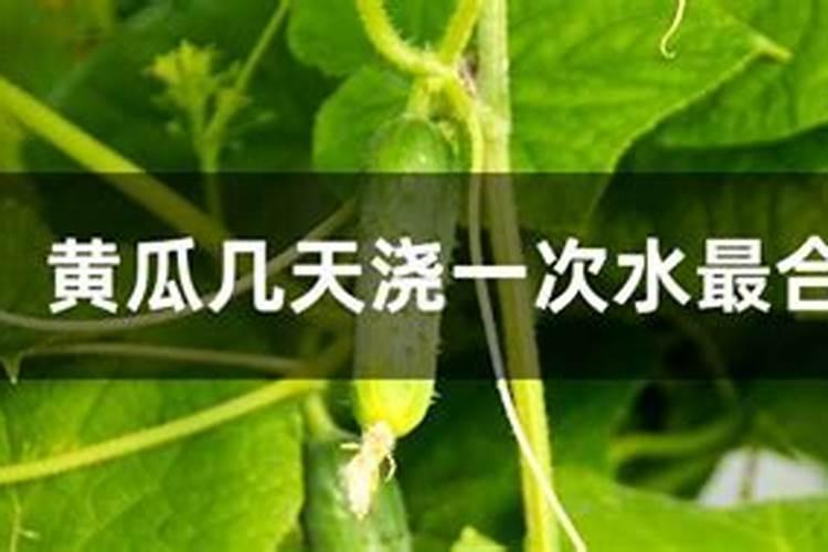 多肽尿素和普通尿素有什么区别？都有什么效果？
