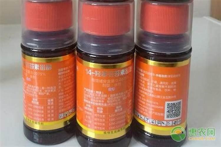 番茄平衡肥什么时候用(番茄平衡肥与高钾肥的使用)
