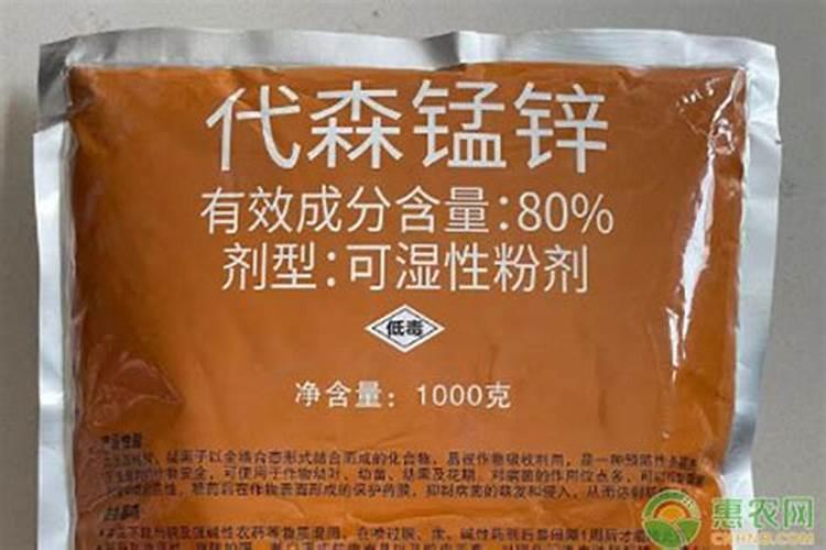 种麦子一个月不发芽什么情况 麦子看不到麦苗怎么办