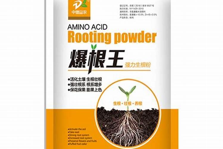 果树滴灌应该怎么安装？？？