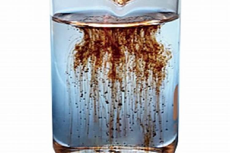 水稻生长中期怎么管理 水稻中期管理的四个重要步骤
