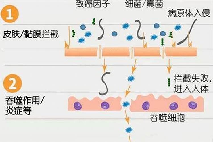 花椒籽可以用来当肥料养花吗？