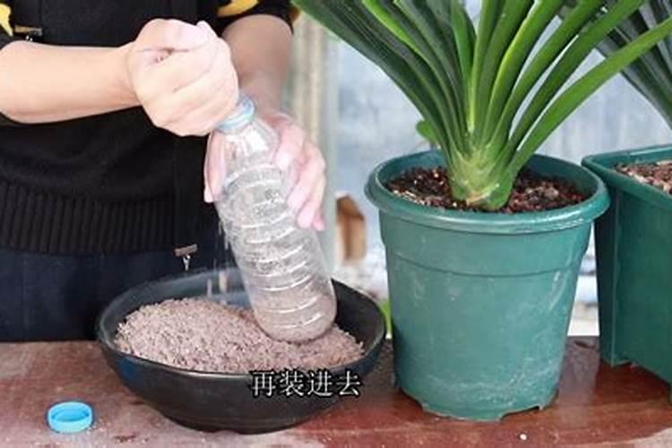 福金的人物简介