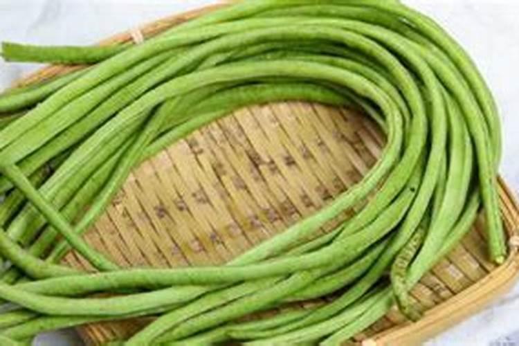 农业酵素菌肥制作方法