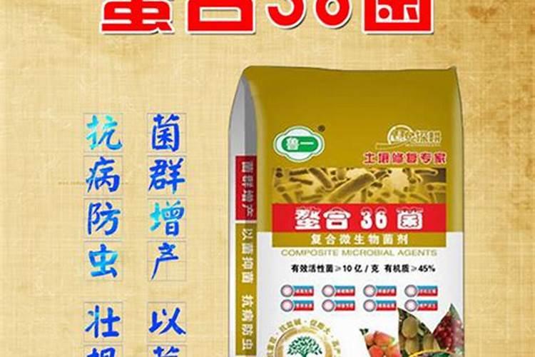 苍术用什么肥料最好