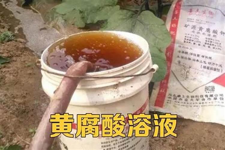大颗粒尿素和腐植酸尿素哪个好