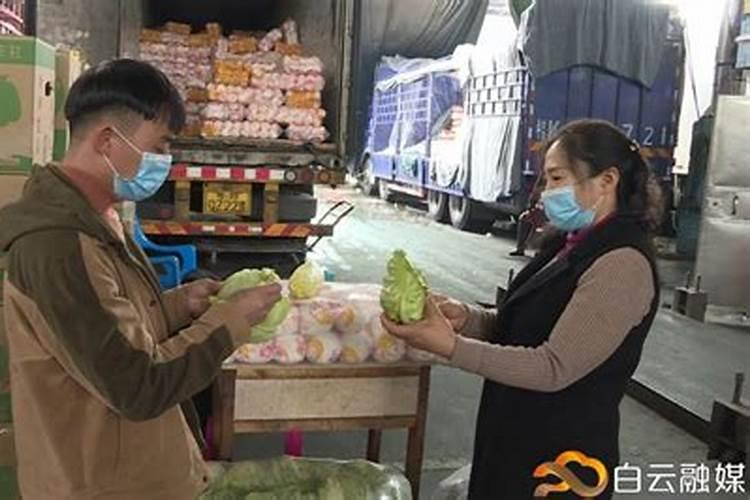 水溶肥什么牌子靠谱？
