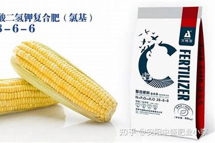磷肥对黄瓜的作用 有哪些好处