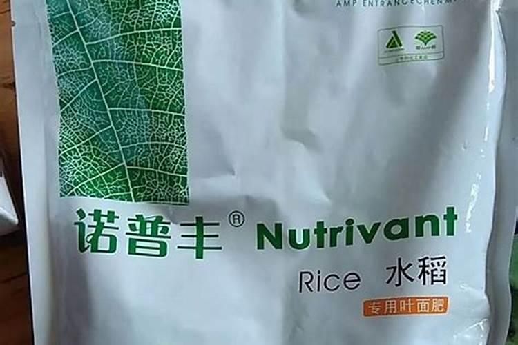 月季花冬季如何施肥效果最好,可以用水溶肥吗？