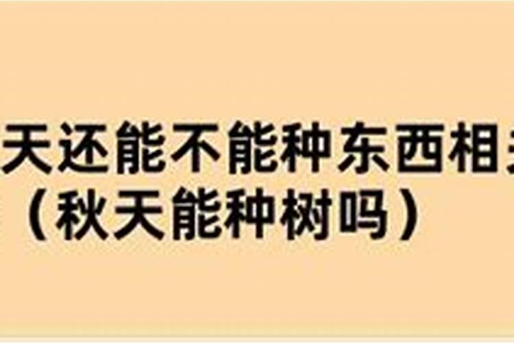 君子兰花肥用什么合适 肥料制作与使用方法