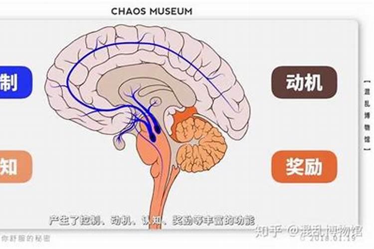 帕金森病常用药物有哪些呢