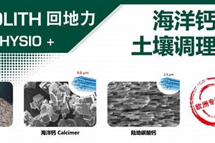 竹柏怎么施肥