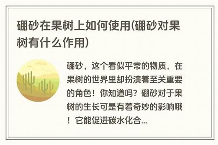 沙糖橘盖膜前如何施肥？