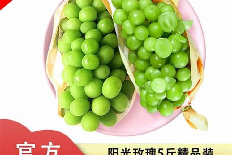 瓜菜苗定植时,如何采用药剂“蘸根”防治土传病害？