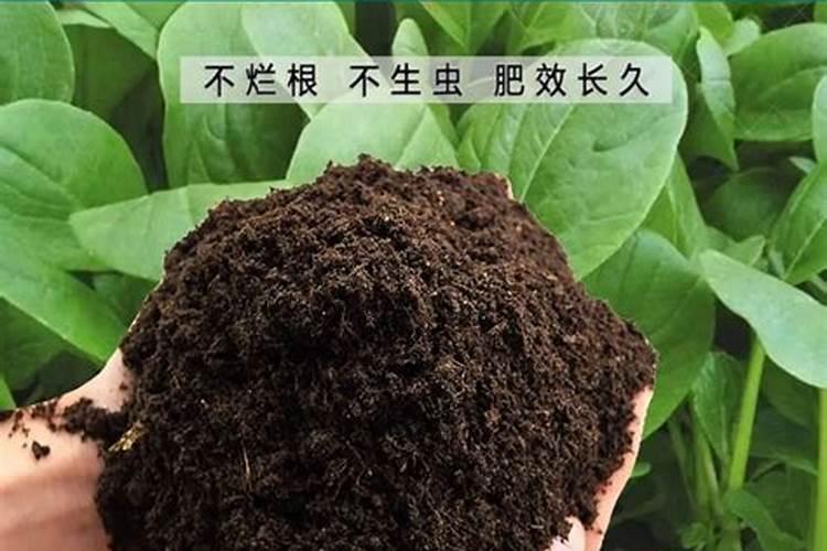 中量元素什么时候使用最好