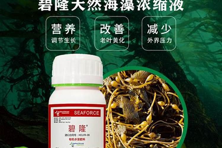 种菜用什么肥料最好