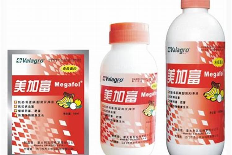 给香蕉套袋去除叶子吗？