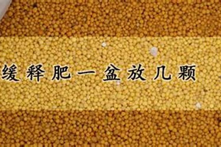控释肥多肉怎样用