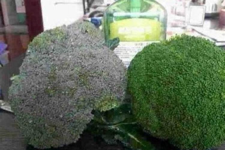 西兰花追肥用什么肥料好