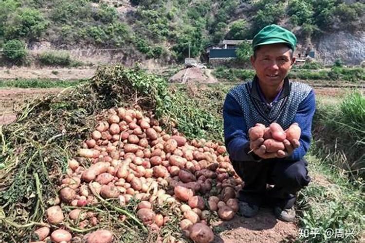 【最新】农业部登记较为完整的进口肥料厂家名单