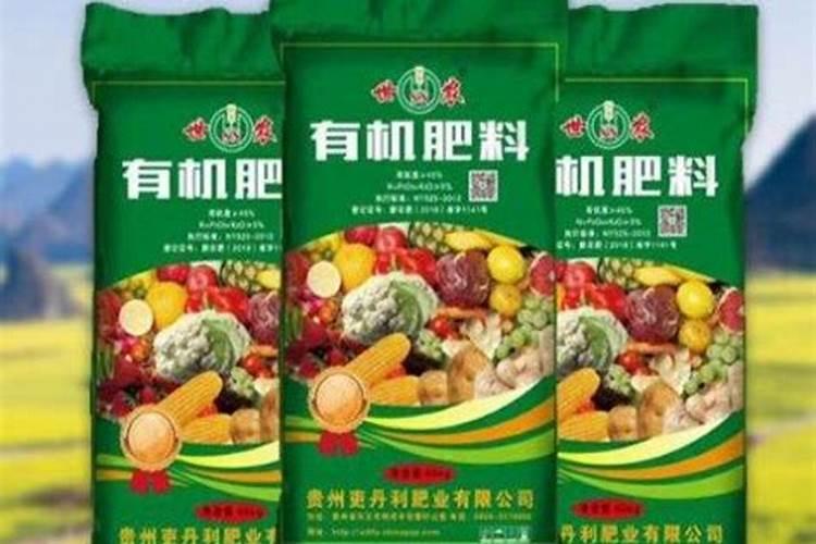 黄瓜苗发黄是什么原因 如何处理