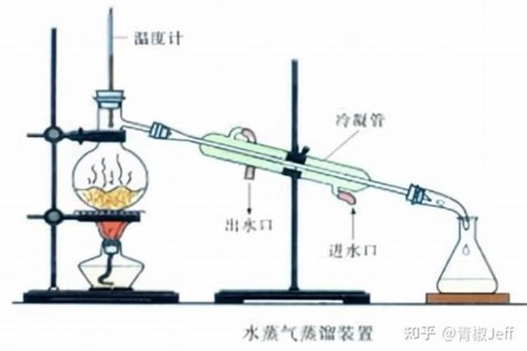 怎样给养鱼的睡莲施肥