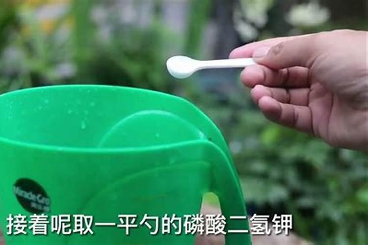 养花开花不结果怎么办施啥肥  家里绿植一般施什么肥