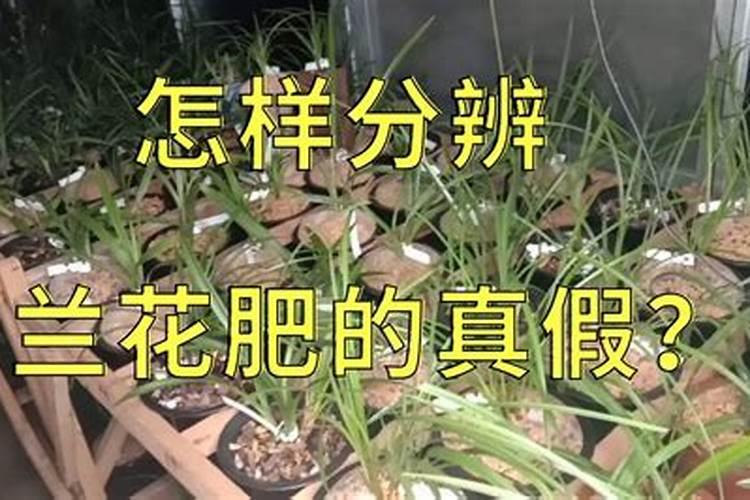 种魔芋用什么肥料 大家可以了解一下