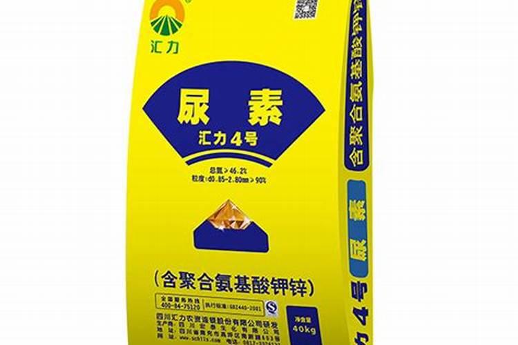 什么时候给油茶施肥最好？