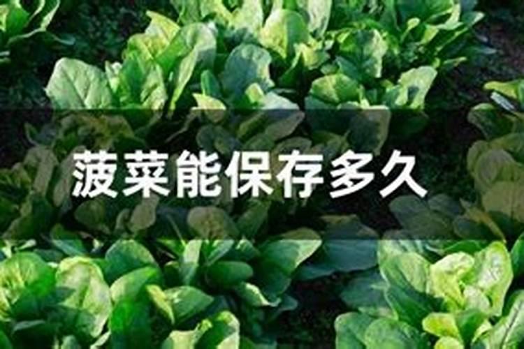 马蹄无公害栽培技术要点 马蹄怎么施肥
