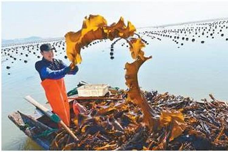 用什么给草莓控旺最安全有效
