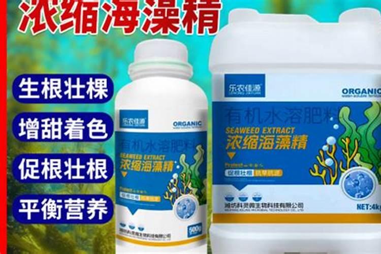 从集市上买回来的食物可以食用吗？
