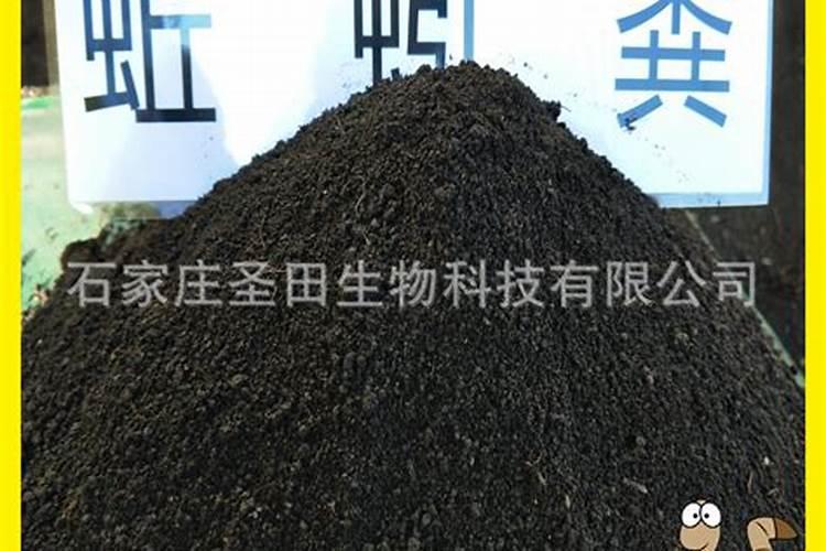 种地瓜多久浇一次水
