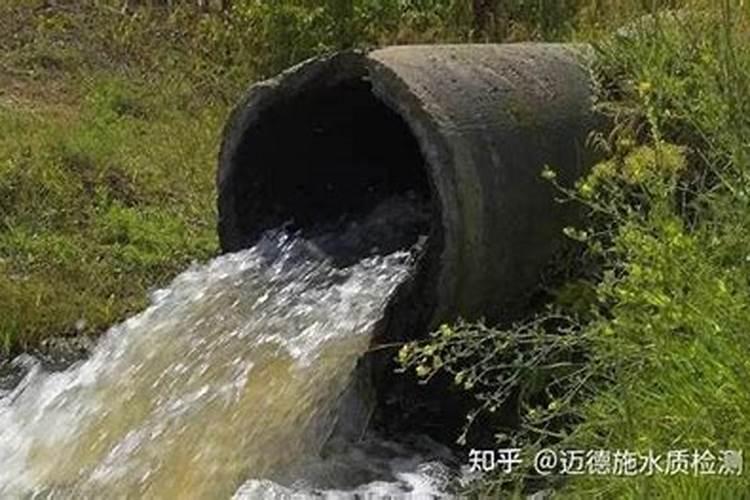 氮肥施用有哪些禁忌