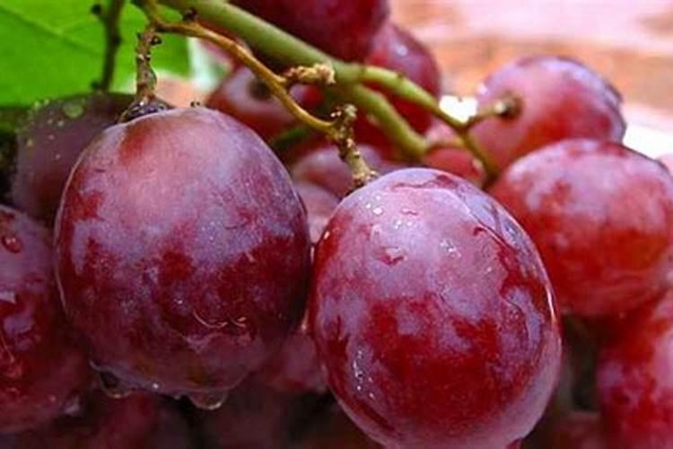 求助:一小桶烂葡萄,求沤肥的方法