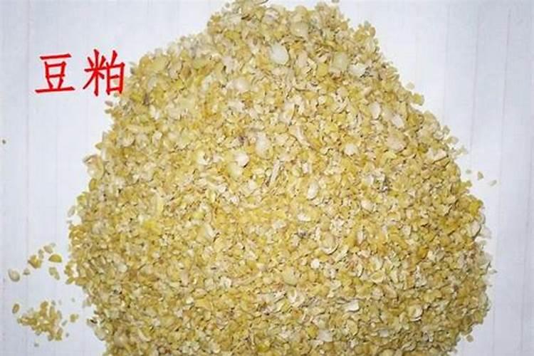 柑橘幼树用豆粕好么？