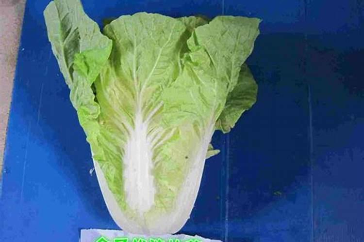 辣椒打什么药可以保花保果