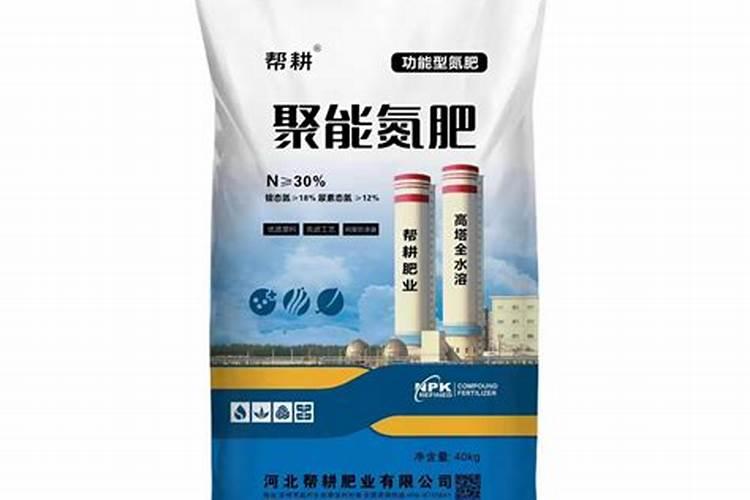 种植黄瓜用什么肥料最好,施肥要注意哪些呢