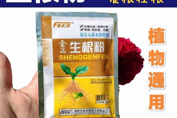 人尿可以浇菜的时间人尿放几天可兑水浇菜