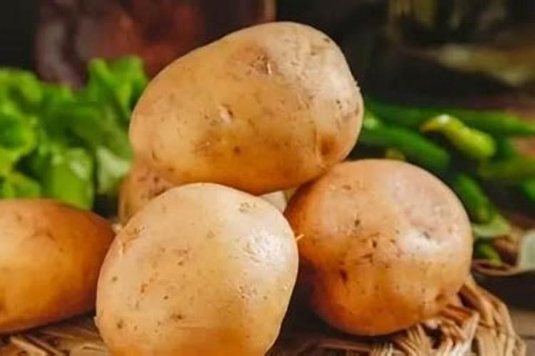 土豆施钾肥增产的效果 养殖技巧总结