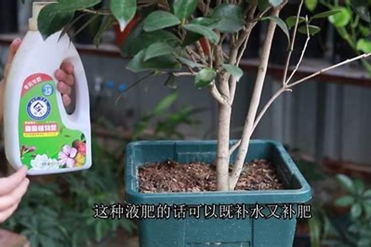 如何设计实验确定某种微生物是嗜热微生物还是嗜冷微生物？