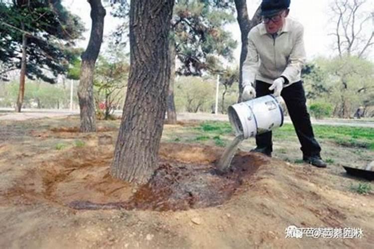 培养微生物的试管为什么要塞上棉塞或硅胶塞？它的作用是什么？